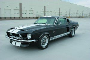 MCP  shelby  copy