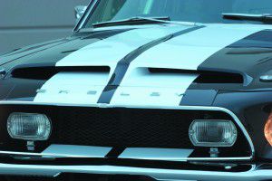 MCP  shelby  copy