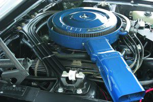 MCP  shelby B copy