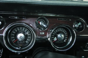 MCP  shelby F copy