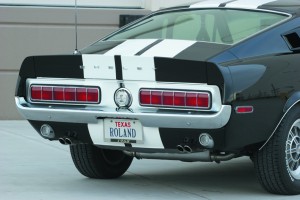 MCP  shelby  copy