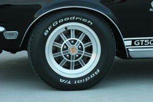 MCP  shelby  copy