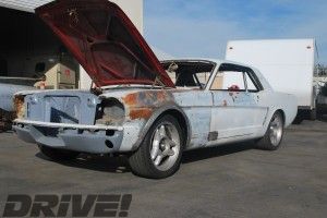 MCP  stang  e