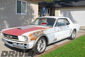 MCP  stang lead e